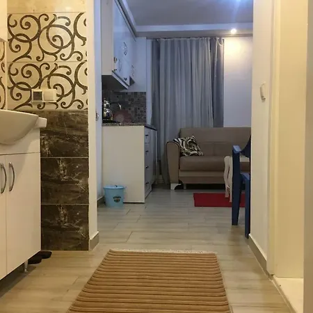 Neu Mann's Apart السليمية